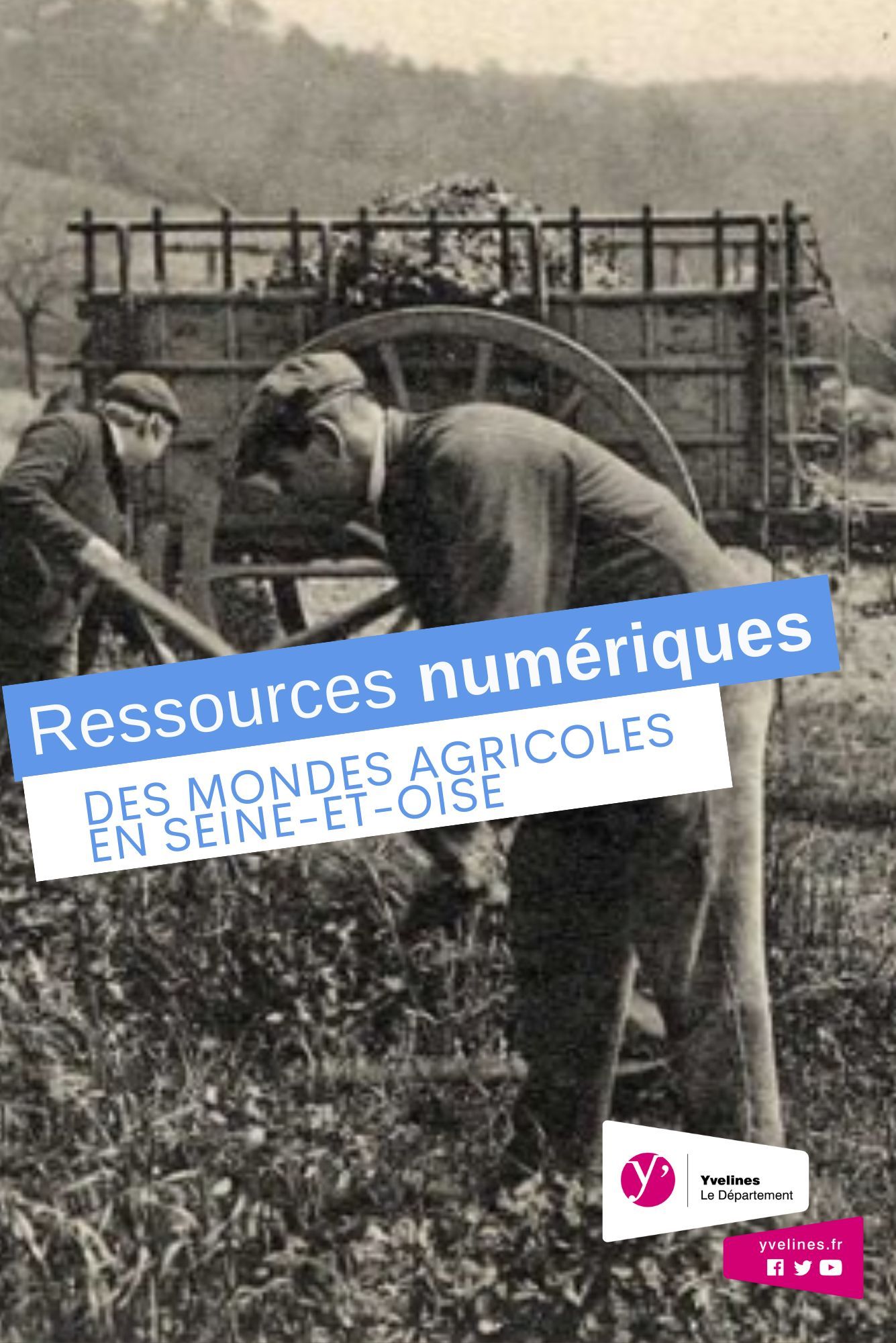 Des mondes agricoles en Seine-et-Oise